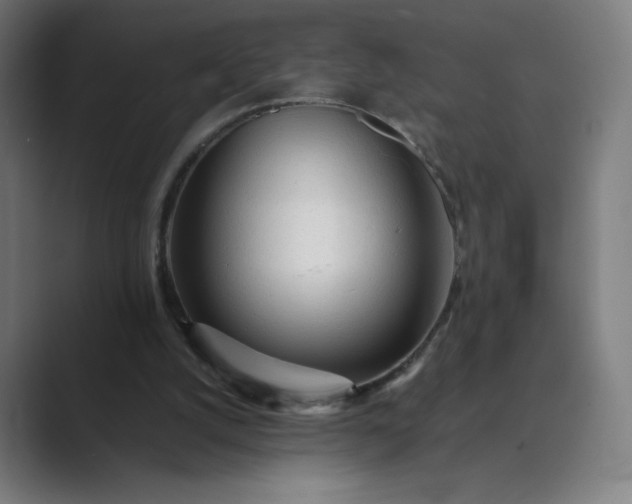 X0000089350056200706291029