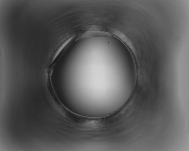 X0000089350057200706291029