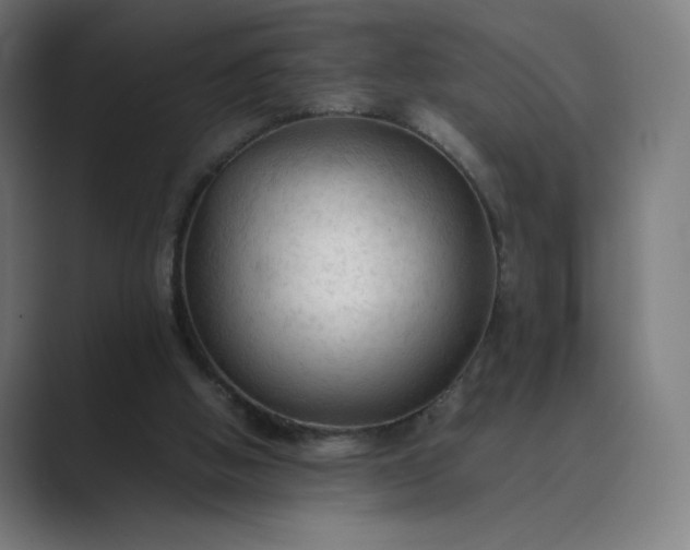 X0000089350058200706291029