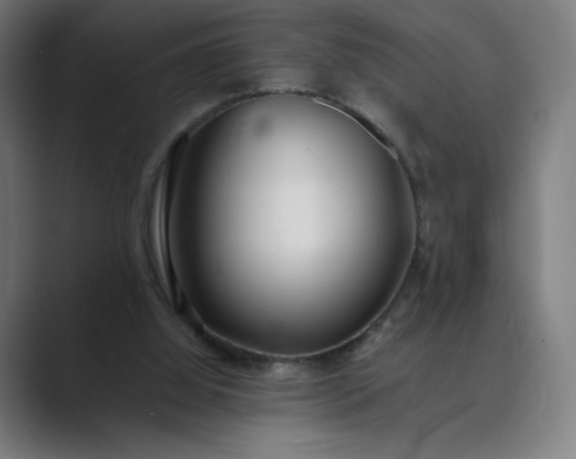 X0000089350060200706291029
