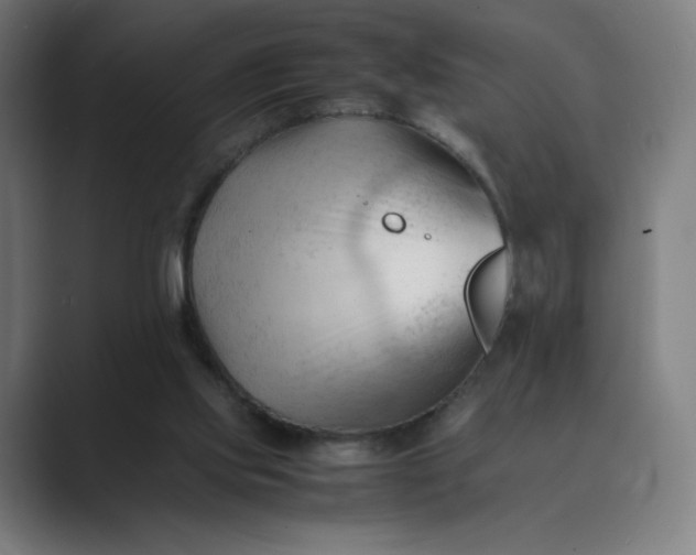 X0000089350061200706291029