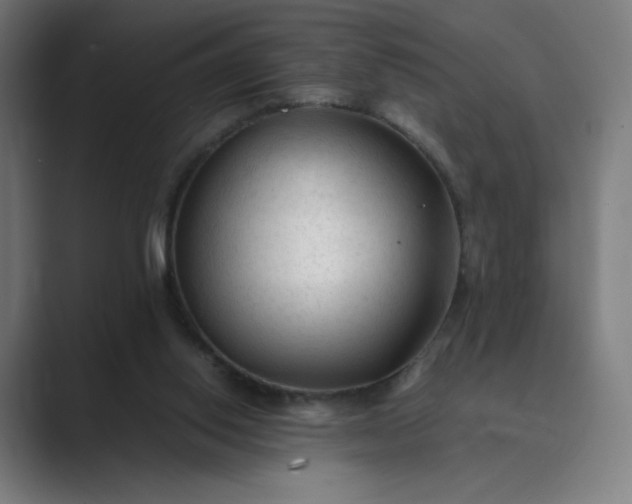 X0000089350062200706291029