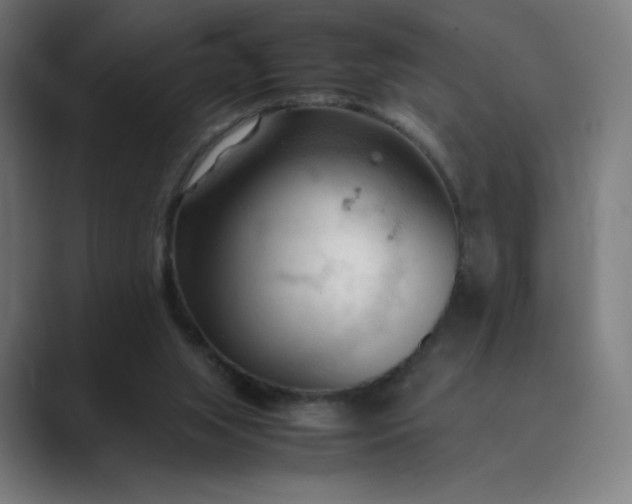 X0000089350063200706291029