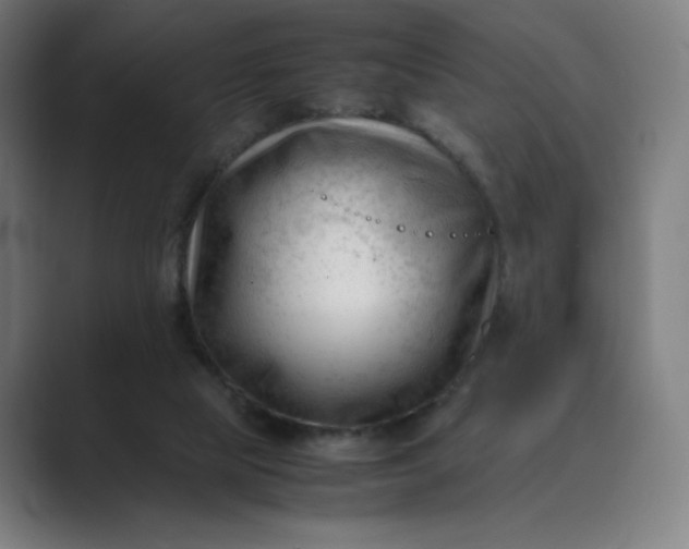 X0000089350065200706291029