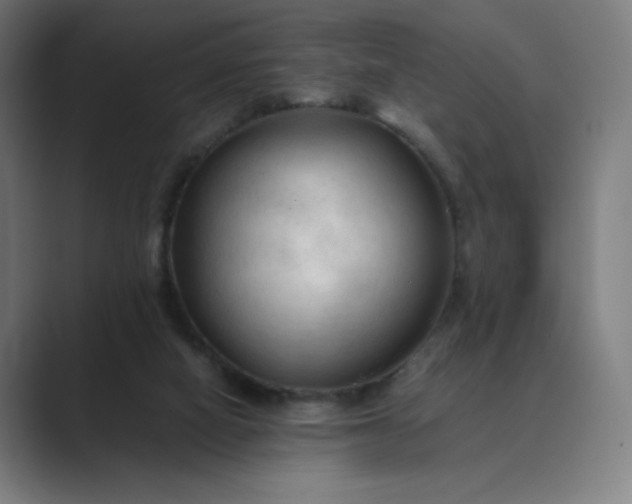 X0000089350066200706291029