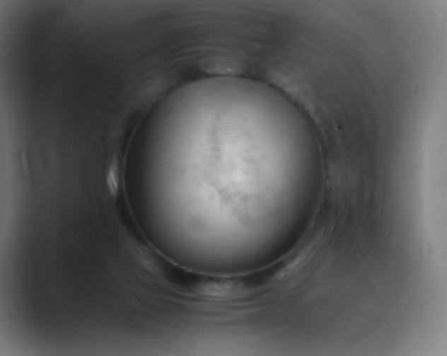 X0000089350069200706291029