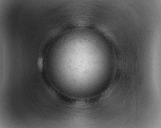 X0000089350070200706291029