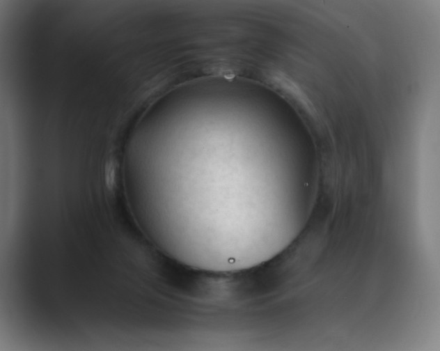 X0000089350071200706291029