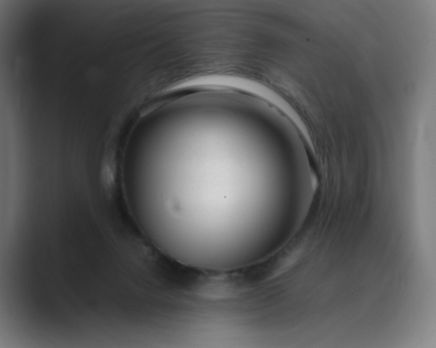 X0000089350072200706291029
