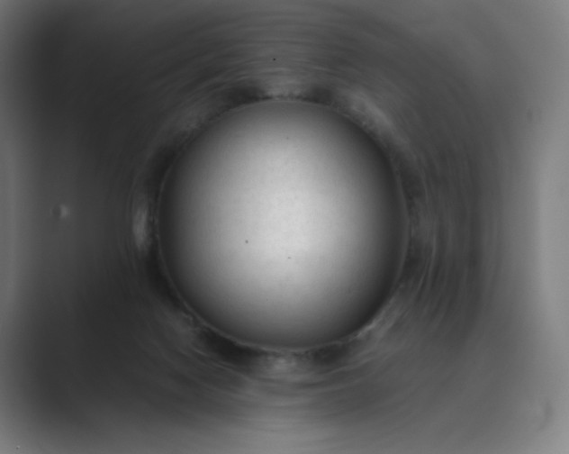 X0000089350074200706291030