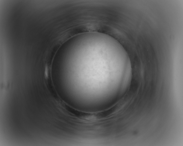 X0000089350075200706291030