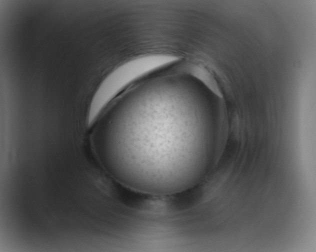 X0000089350076200706291030