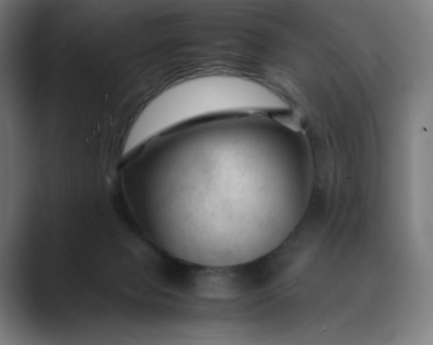 X0000089350077200706291030