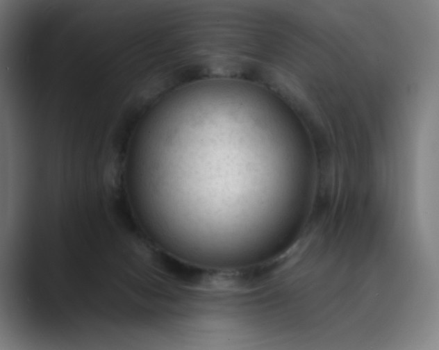 X0000089350078200706291030