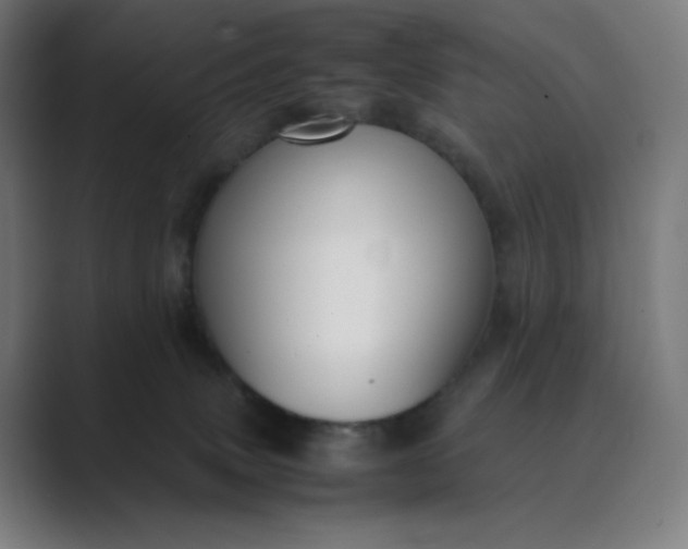 X0000089350083200706291030