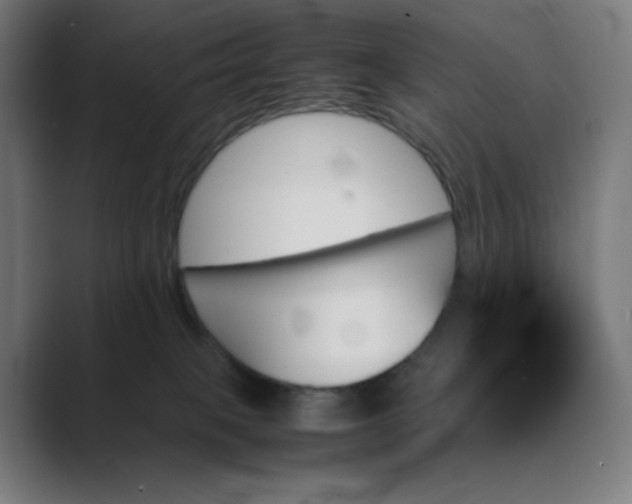 X0000089350085200706291030