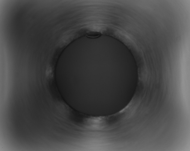 X0000089350086200706291030