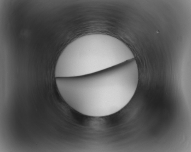 X0000089350087200706291030