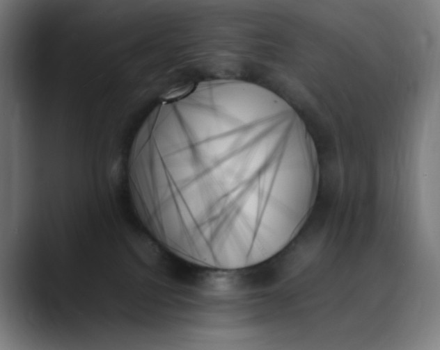 X0000089350088200706291030