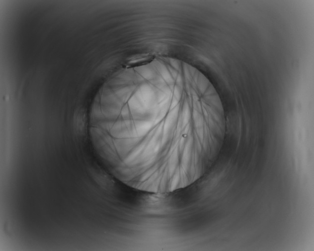 X0000089350092200706291030