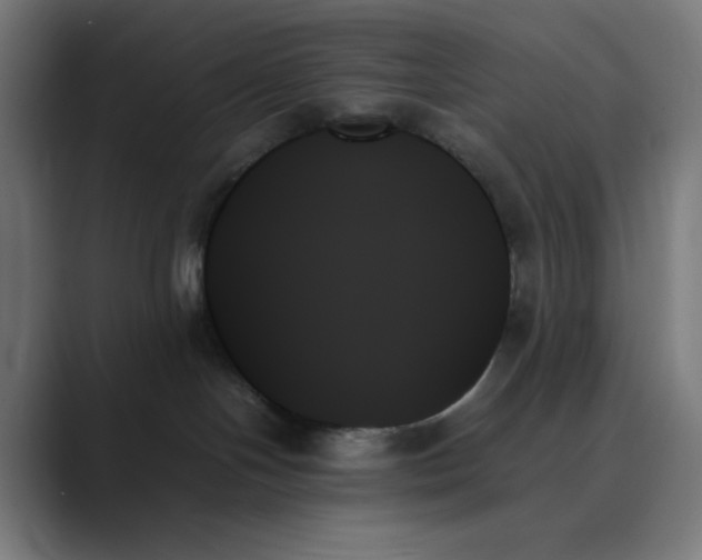 X0000089350094200706291030