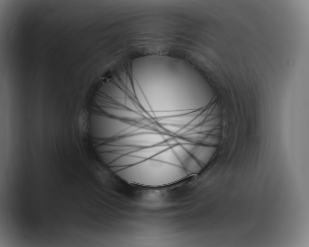X0000089350096200706291030