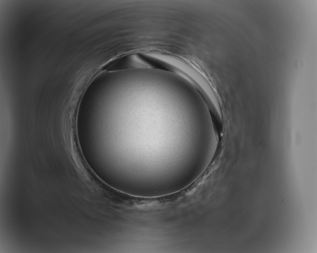 X0000089350097200706291029