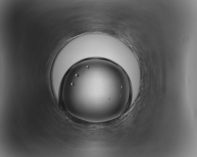 X0000089350099200706291029