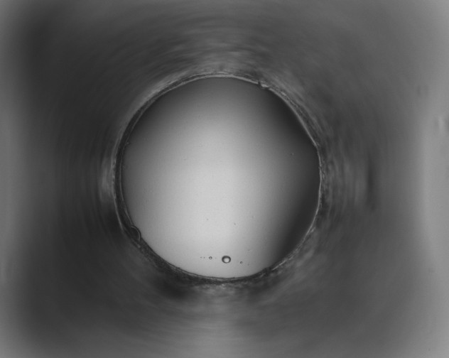 X0000089350100200706291029