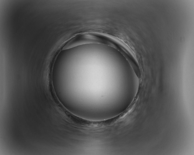 X0000089350101200706291029