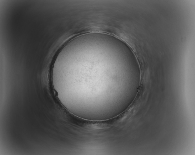 X0000089350103200706291029