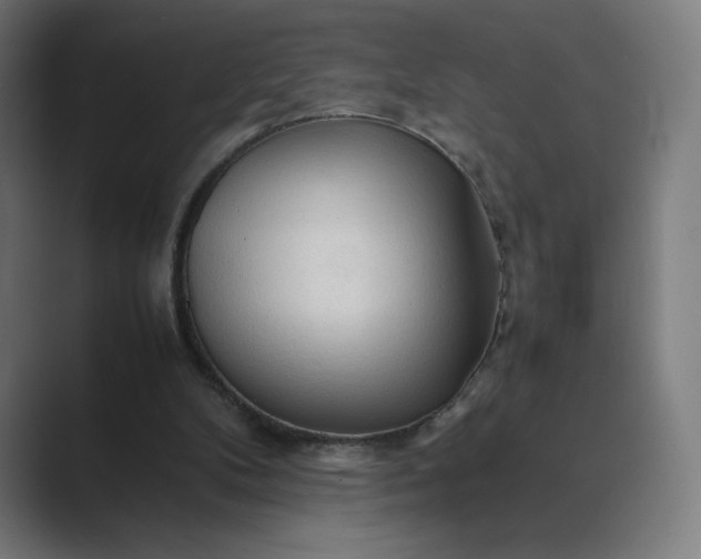 X0000089350104200706291029