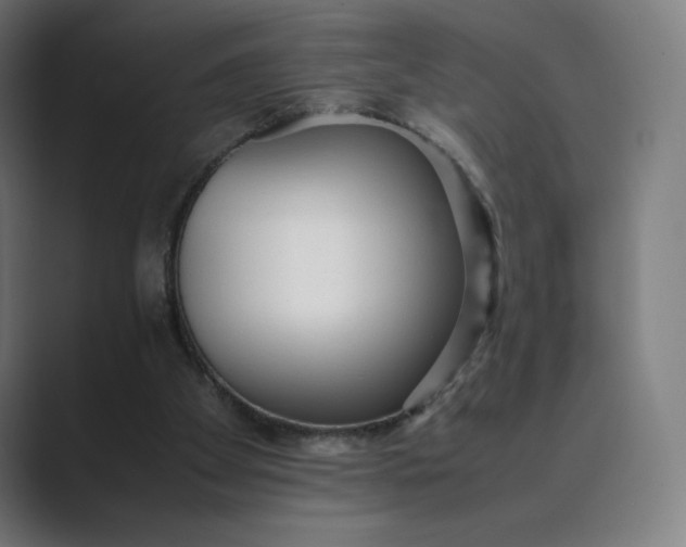 X0000089350105200706291029