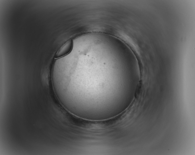 X0000089350107200706291029
