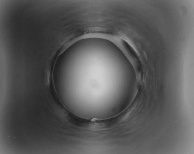 X0000089350109200706291029