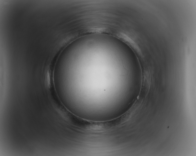 X0000089350110200706291029