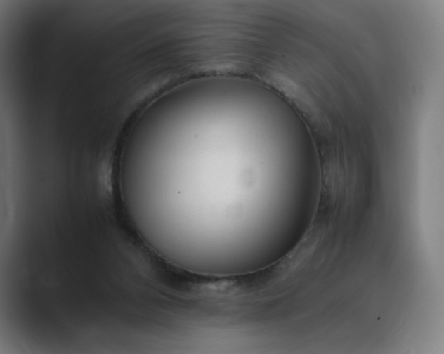 X0000089350112200706291029