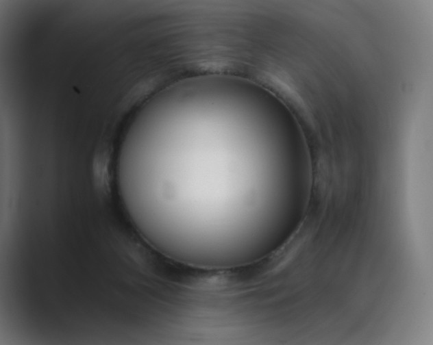 X0000089350116200706291029
