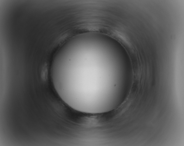 X0000089350120200706291029