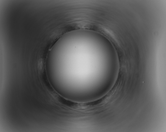 X0000089350121200706291029
