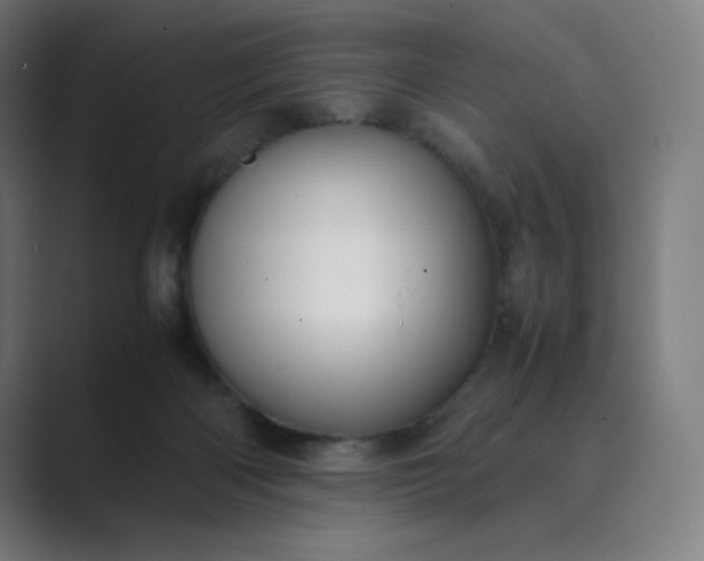 X0000089350122200706291029