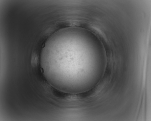 X0000089350123200706291029