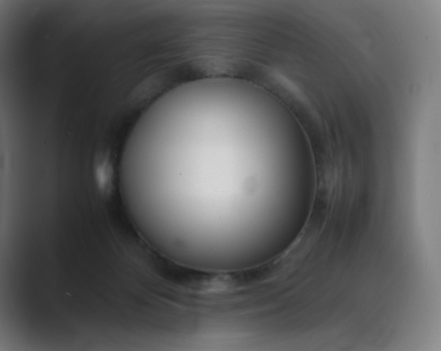 X0000089350124200706291029