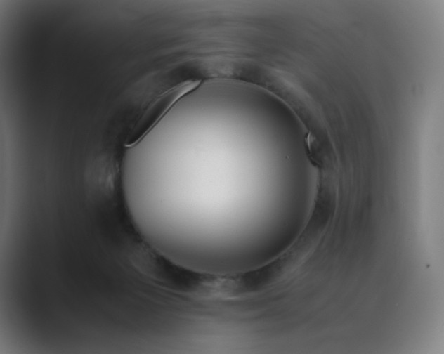 X0000089350125200706291029