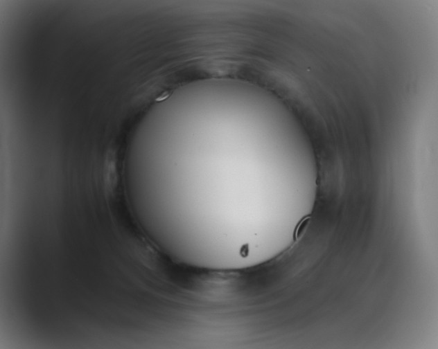 X0000089350128200706291029