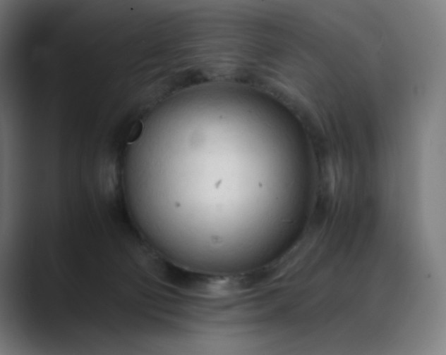 X0000089350130200706291029