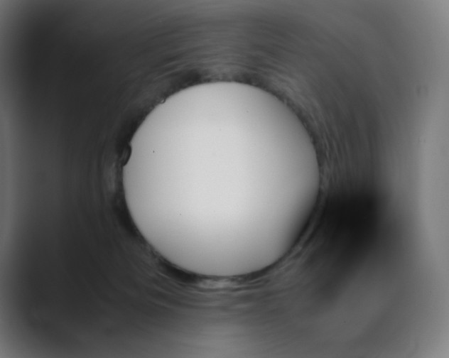 X0000089350133200706291029