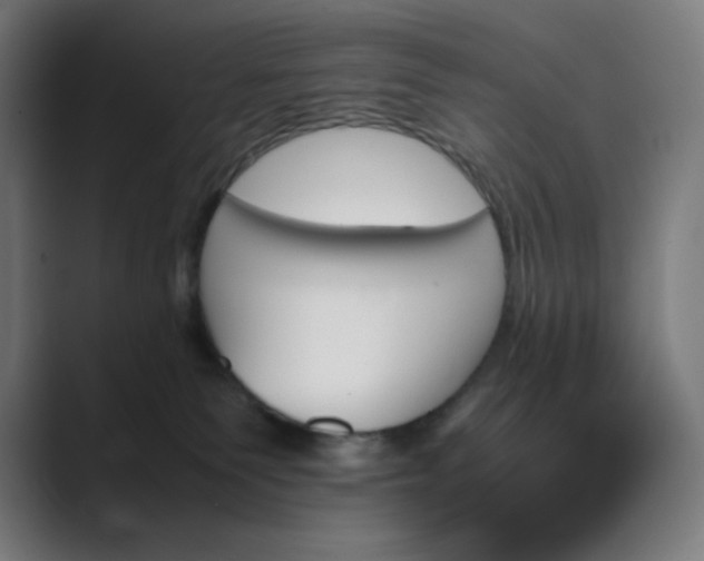 X0000089350135200706291029