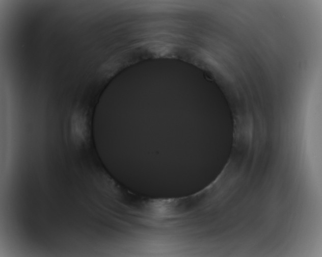 X0000089350136200706291029