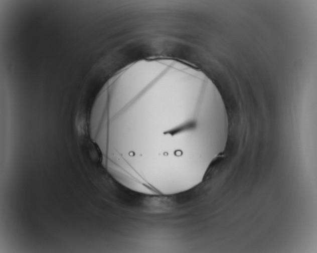 X0000089350137200706291029